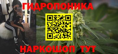 ALPHA PVP Краснознаменск