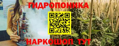 гашик Краснодар