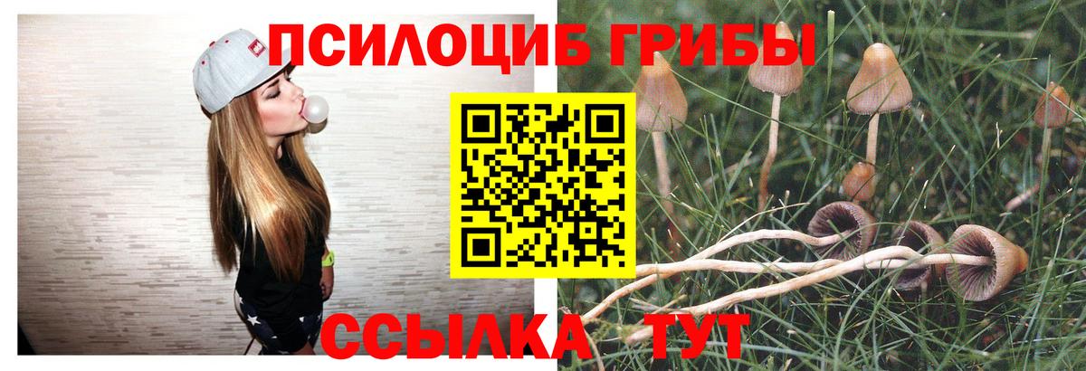 Карпинск  Псилоцибиновые грибы Cubensis  Вход с VPN  Псилоцибиновые грибы прущие грибы 